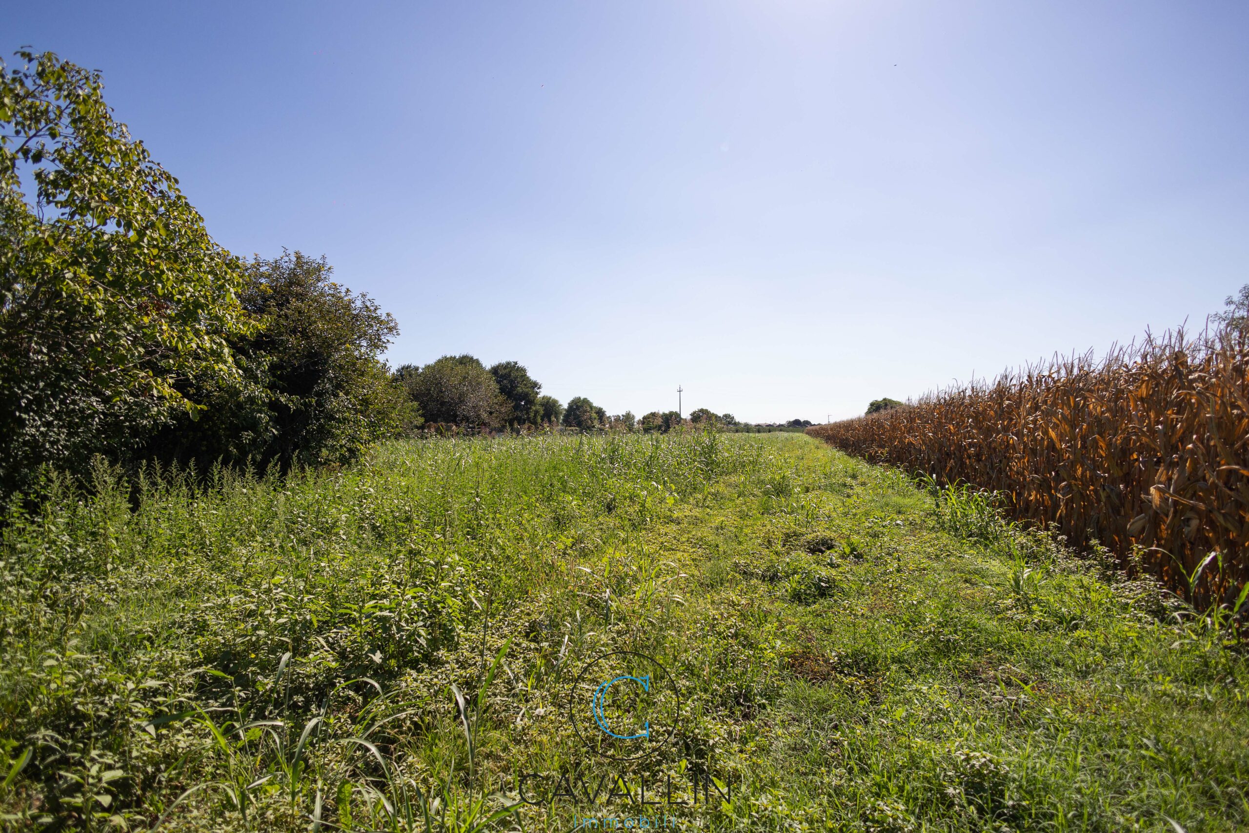 Terreno edificabile a Montebelluna